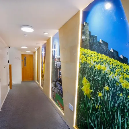 Aura C Appartement York